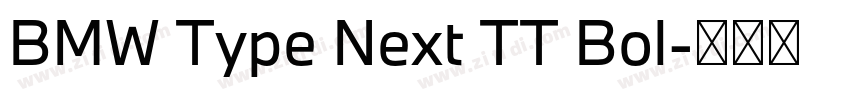 BMW Type Next TT Bol字体转换 BMW Type Next TT Bol字体转换